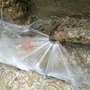 射阳消防管道漏水检测
